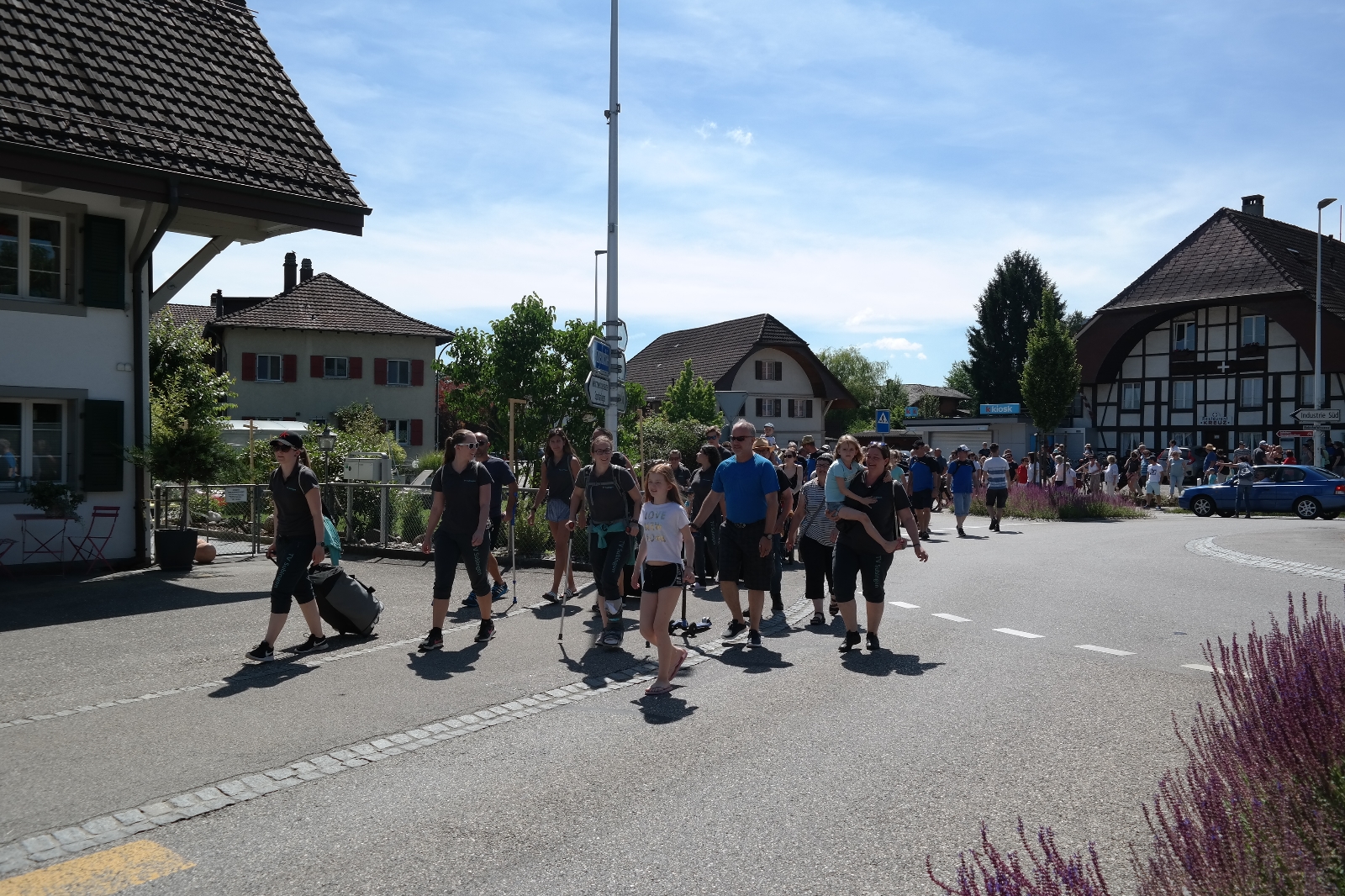 Bild1 (293)